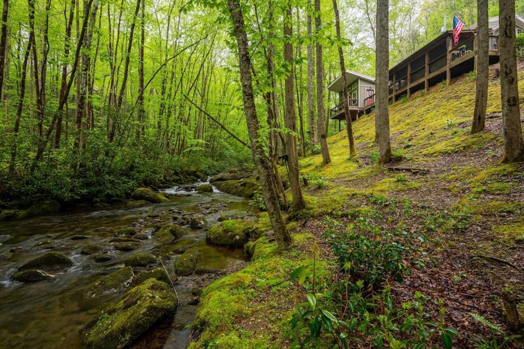 The Owl'S Perch Villa Robbinsville Exteriör bild